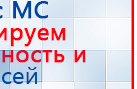 Электрод Скэнар - лицевой двойной Пешки купить в Рыбинске, Электроды Скэнар купить в Рыбинске, Скэнар официальный сайт - denasvertebra.ru